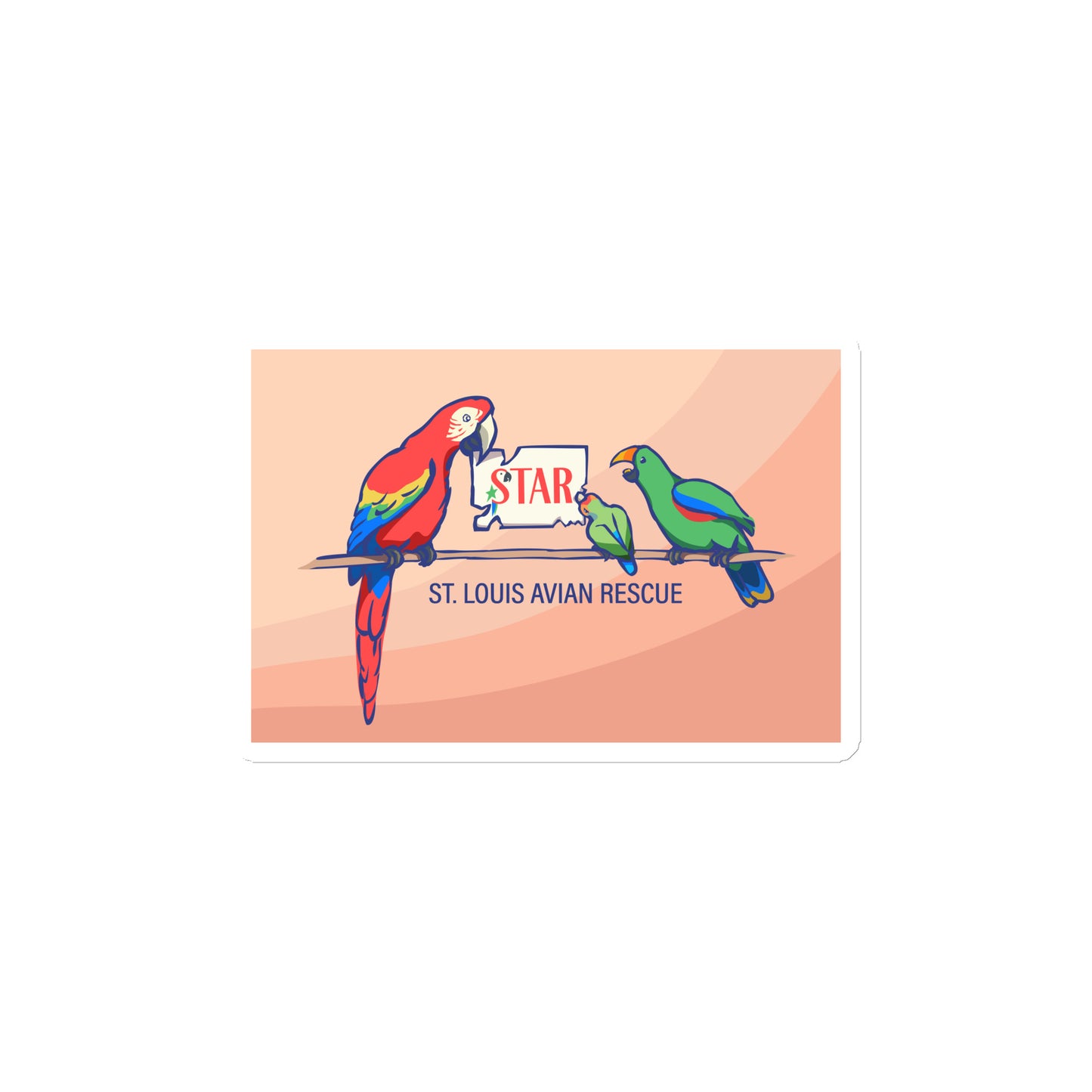 Kat Bird Bookshop - Magnet