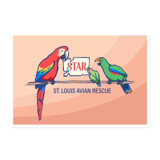 Kat Bird Bookshop - Magnet