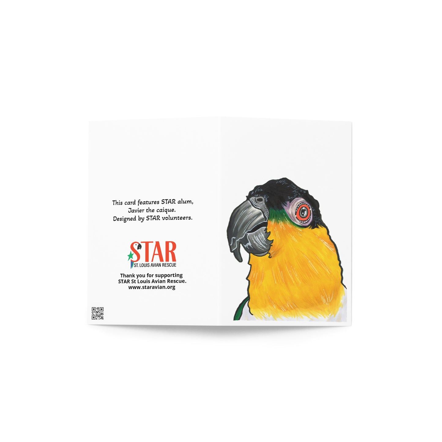 Javier the Caique - Blank Greeting card