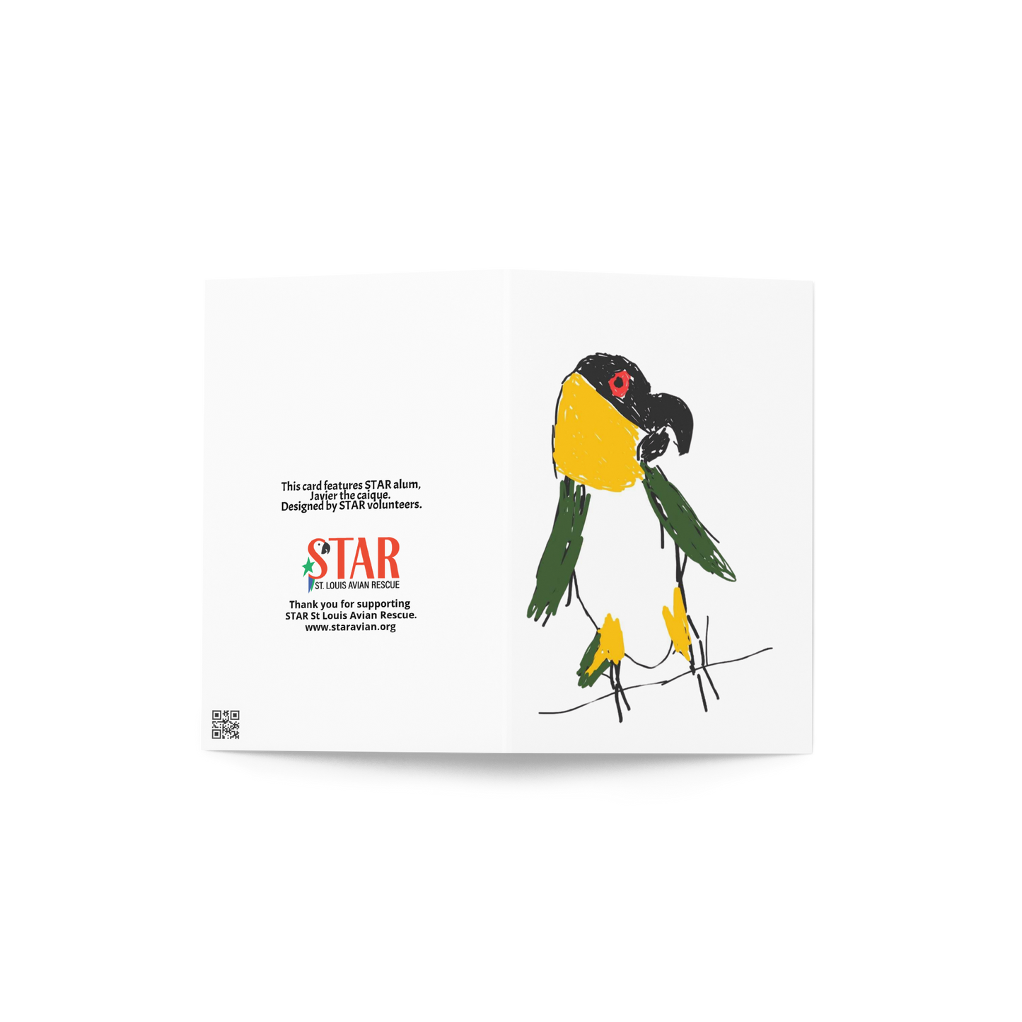 Javier the Caique Sketch - Greeting card