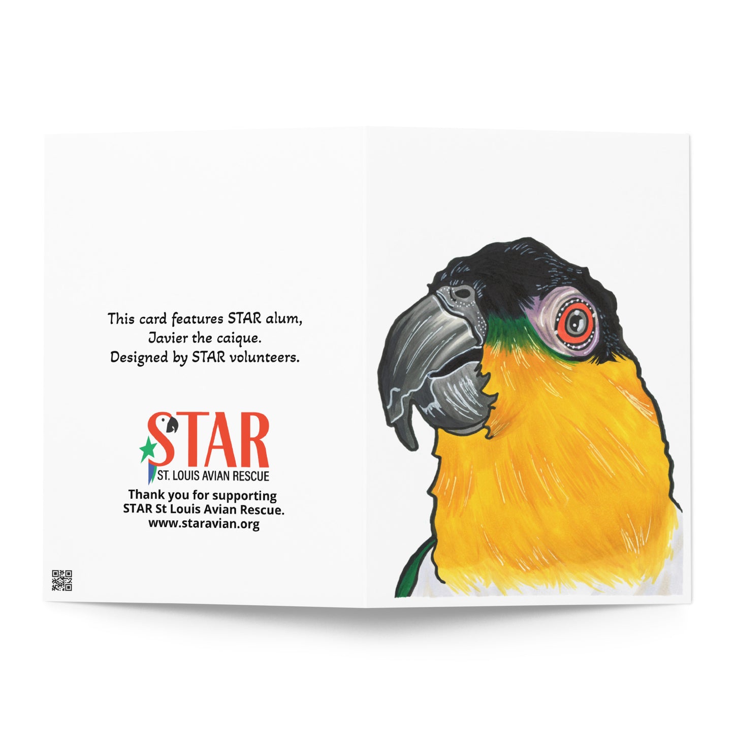 Javier the Caique - Blank Greeting card