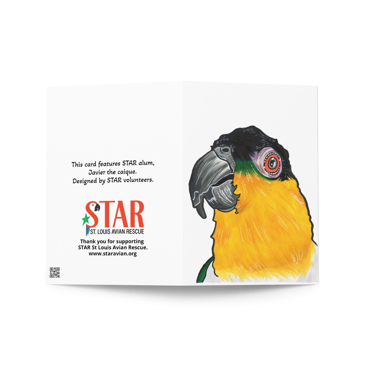 Javier the Caique - Blank Greeting card