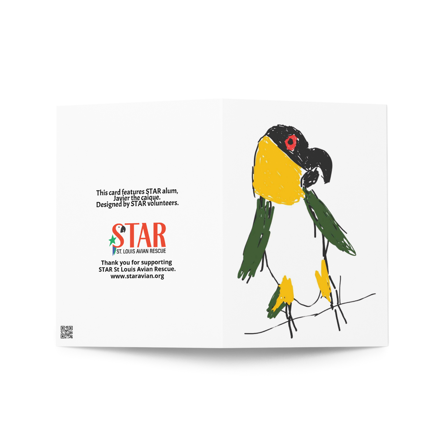Javier the Caique Sketch - Greeting card