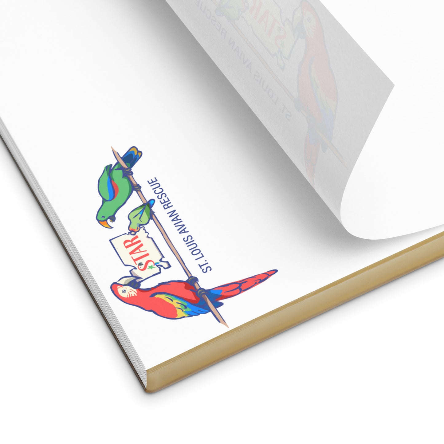 Kat Bird Bookshop - Paperwork vs Party favors - Notepad